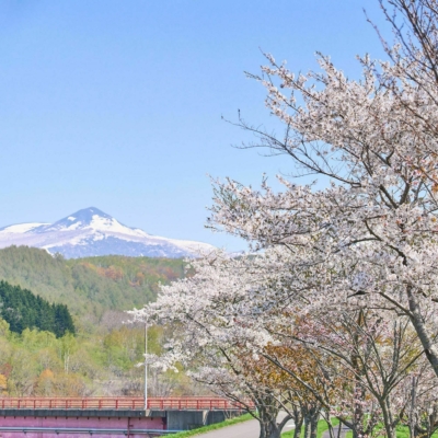 蘭越ランラン公園