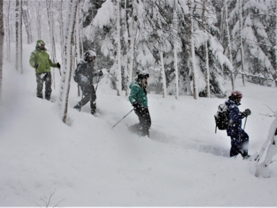 Nac Snowshoeing Niseko Day Time Snowshoe 29 Edit