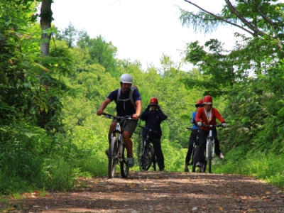 Mountain Bike Biking Trail Summer 26