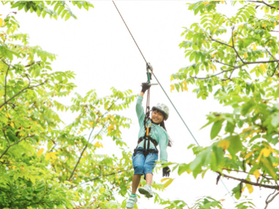 Zipline