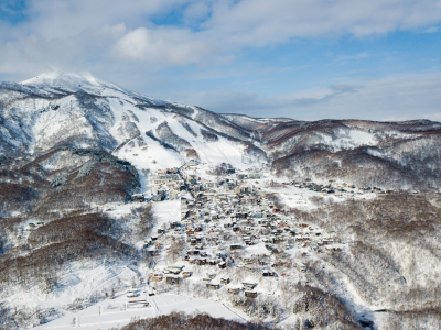 Winter Shots Lr 447