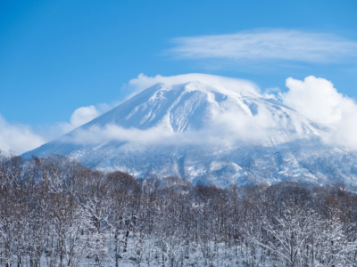 Winter Shots Lr 441