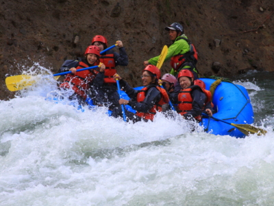 Springraft 359