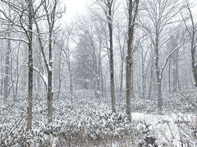 Big Snow In November2019 3