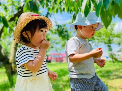 Cherry Picking By Norio00002