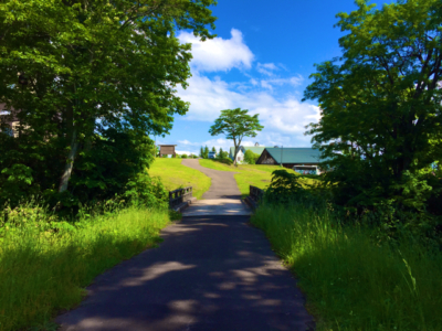 Summer Niseko 3