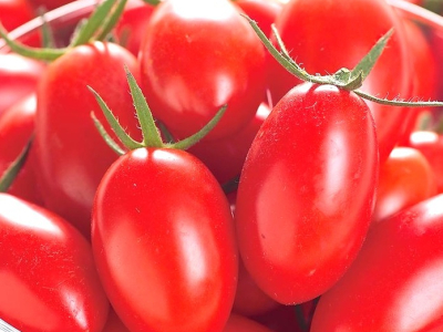 Aiko Tomato