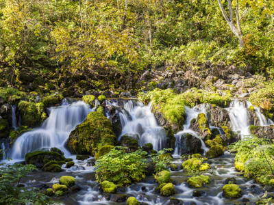 Fukidashi Park Springs 3