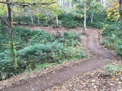 Ginto Trail Phase 2 4