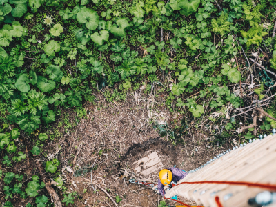 Nac Adventure Park Ladder Climbdown Edit