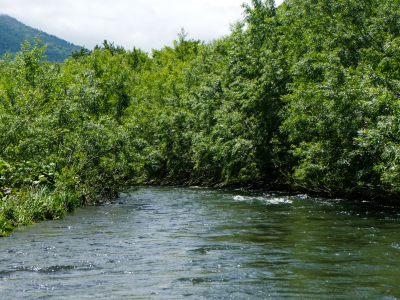 Shiribetsu River 1