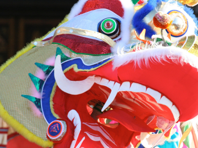 Dragon 1621805 1920