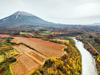 Drone Autumn Leaves