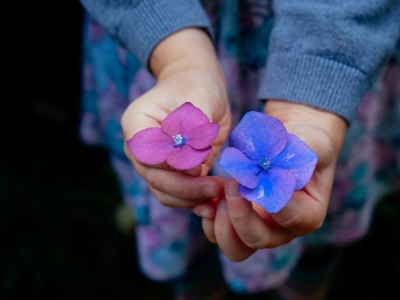 Flowers 945450 1920