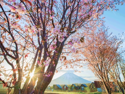 Hirafu2