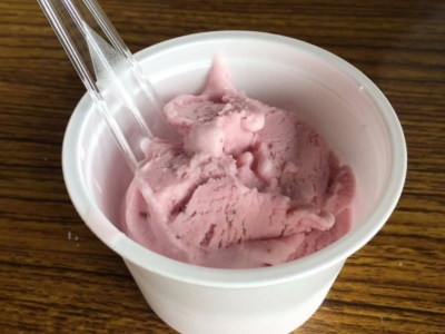 Ice Cream Making