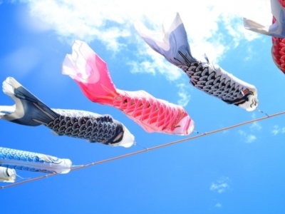 Koinobori Bluesky As
