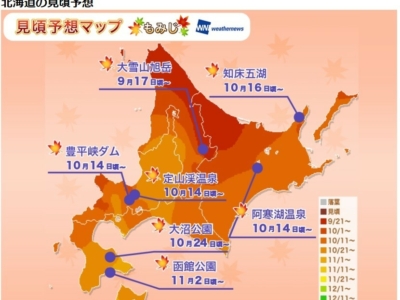 Koyou Forecast 2017