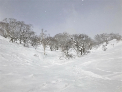 March 9 Powder Fresh Tracks By Acme