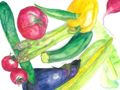 Niseko Local Vegetables Illustration
