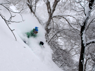 Skiing through Niseko Powder in the backcountry
