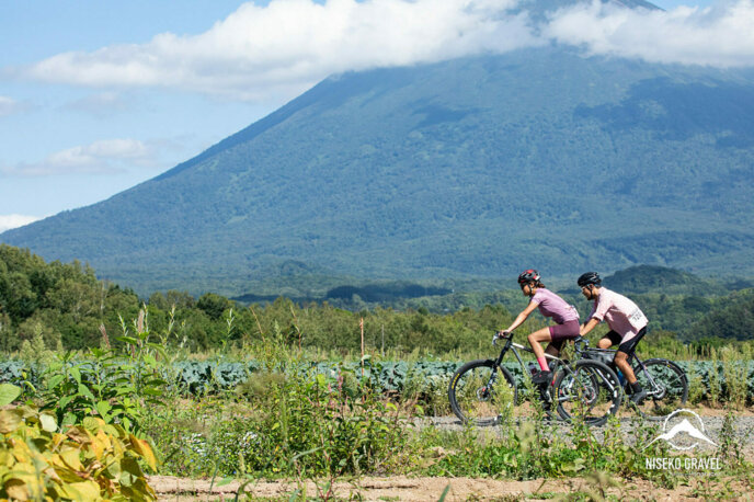 Panaracer Niseko Gravel 2023