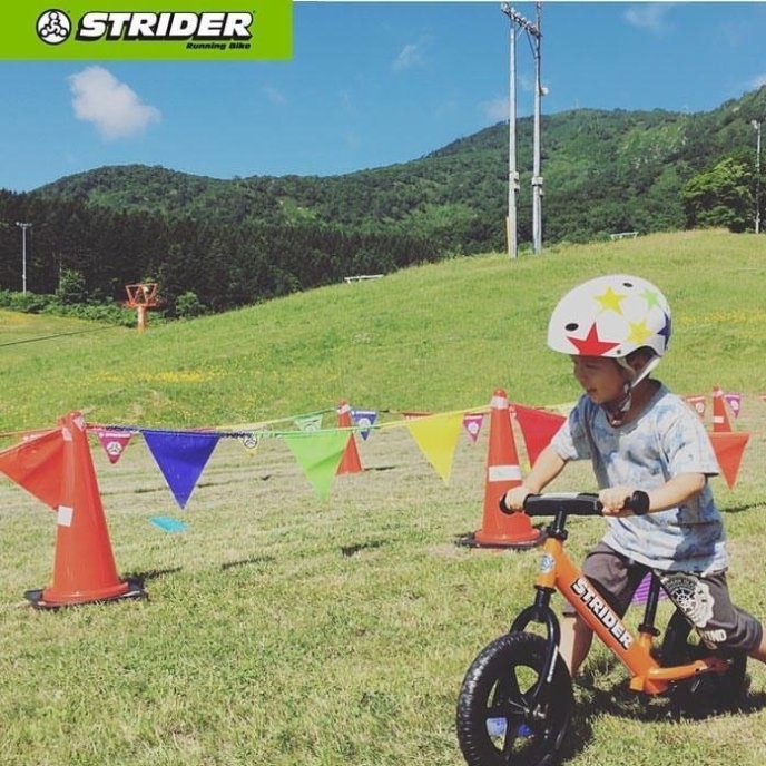 Strider Niseko Cup