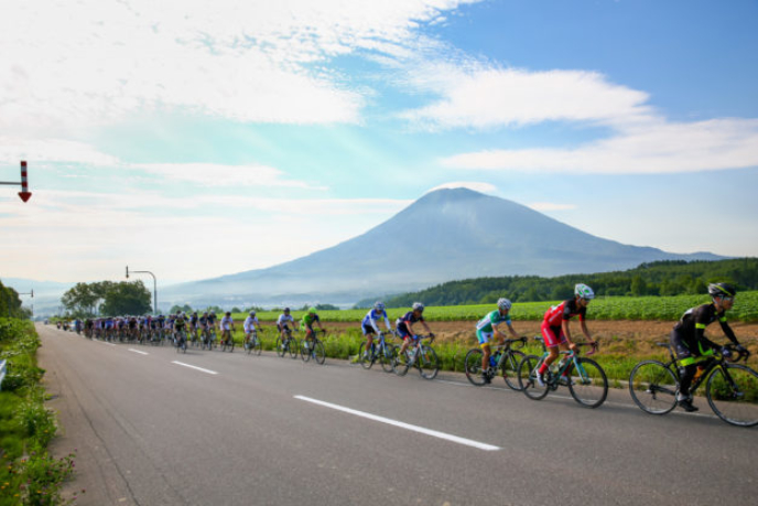 Niseko Classic Large