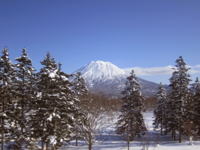 Yoteito