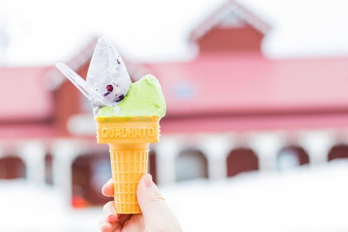 Experience Niseko Ice Cream High Res 12 Lr