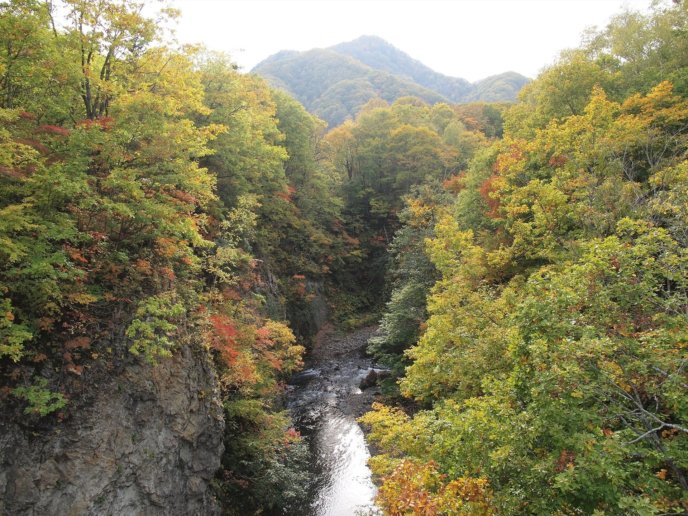 Jozankei Autumn Leaves