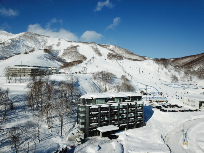 Wrap Up From the 2019 World Ski Awards | Experience Niseko