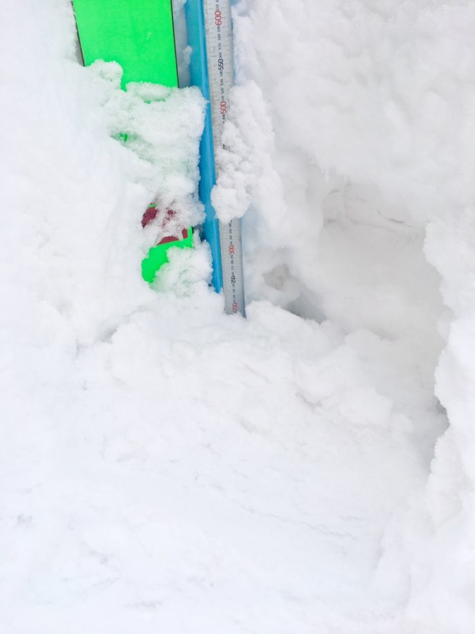 Snow Report 12 Feb2019