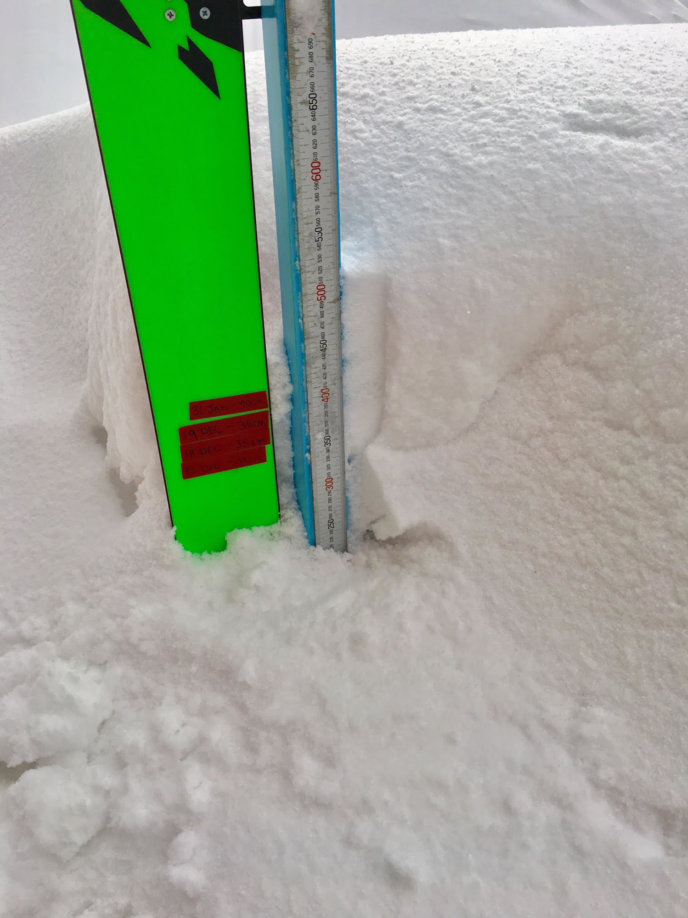 Snow Report 31 Jan2019