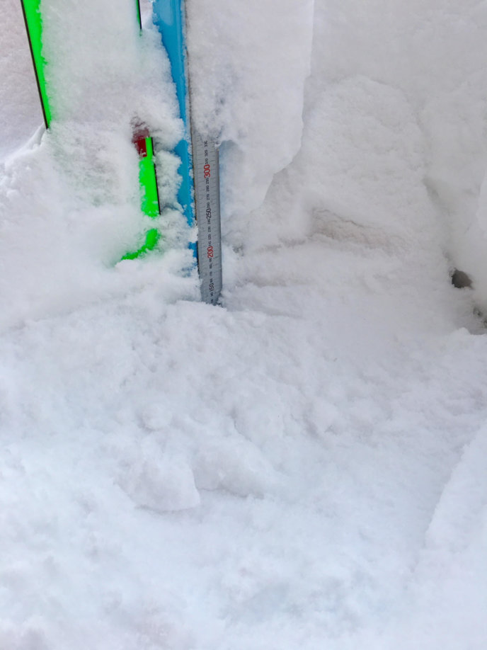 Snow Report 5 Feb2019
