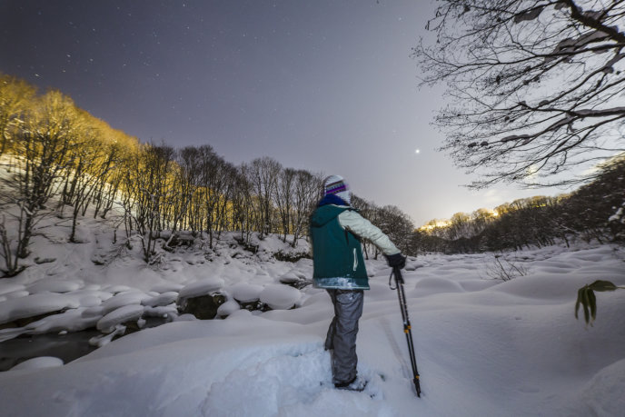 Snowshoe