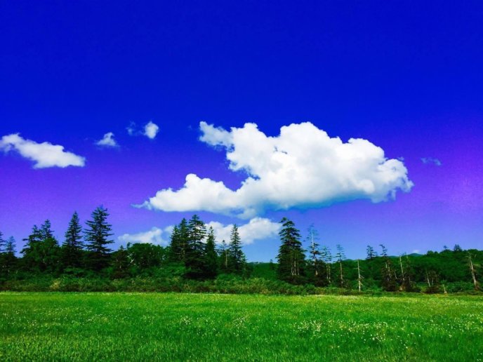 Summer Niseko