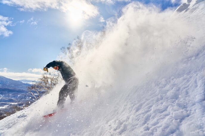 Bluebird Powder