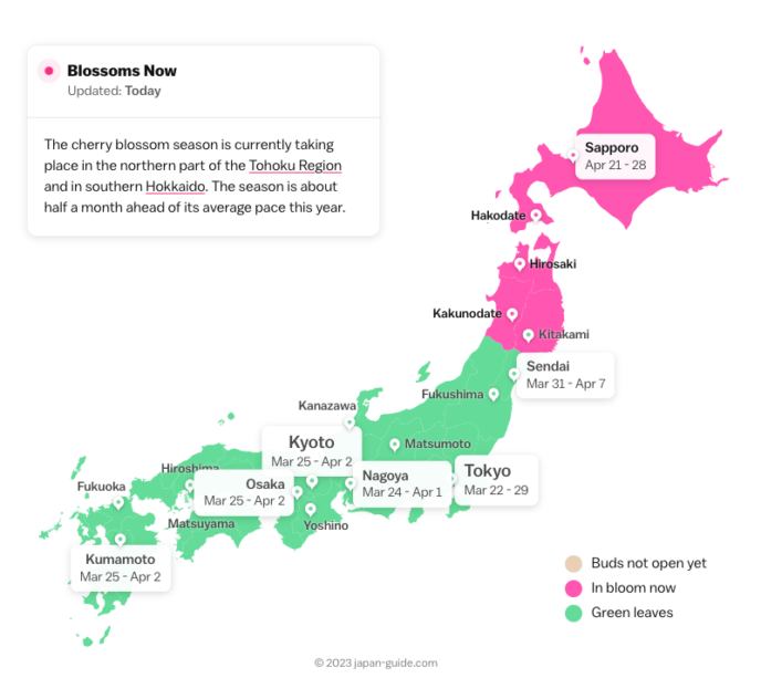 Sakura Season Forecast 2023