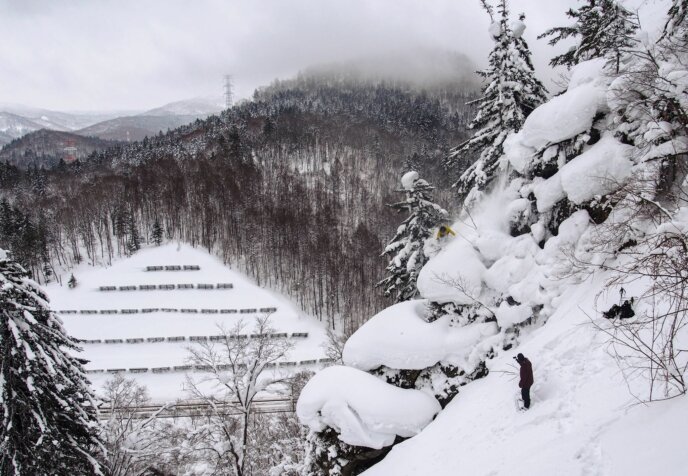 Sam Klomp Niseko Credit David Little