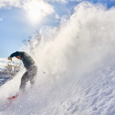 Bluebird Powder