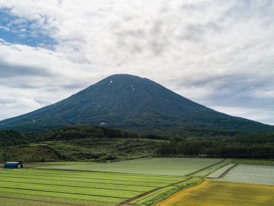 East Face Of Yotei Low Res