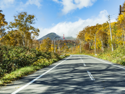 Panorama Line In Autumn On The Road