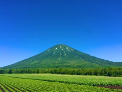 Summer Niseko 2